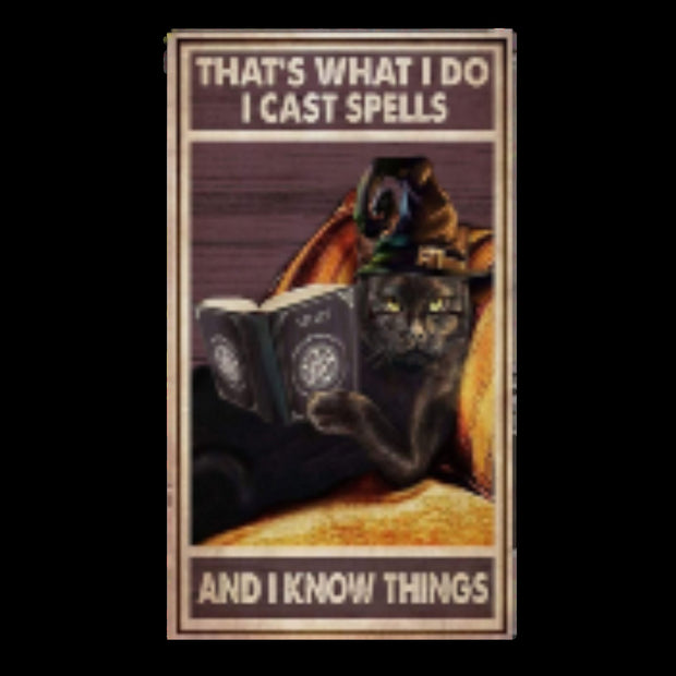 I cast spells and know things black cat ,black cat-poster, Black Cat Wall Art- Black Cat Print -Black Cat Artwork - Home Decor