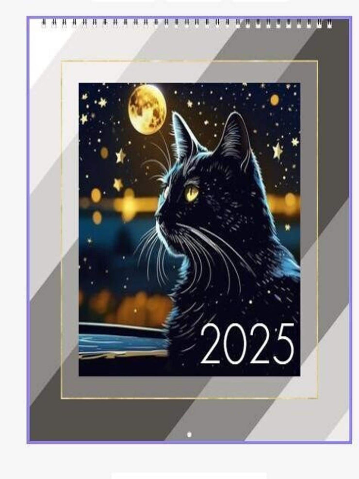 2025Wall Calendar, black cat calander funny , Wall Planner, Home And Office Decor, Monthly Calender,gitft for cat lovers