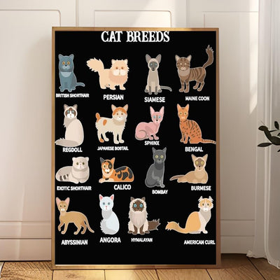 cat breeds which are you  poster .tabby cat-poster ,black Cat Wall Art -black Cat Print -black Cat Artwork - Home Decor