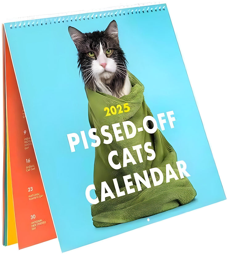 2025Wall Calendar, cat calander funny , Wall Planner, Home And Office Decor, Monthly Calender,gitft for cat lovers