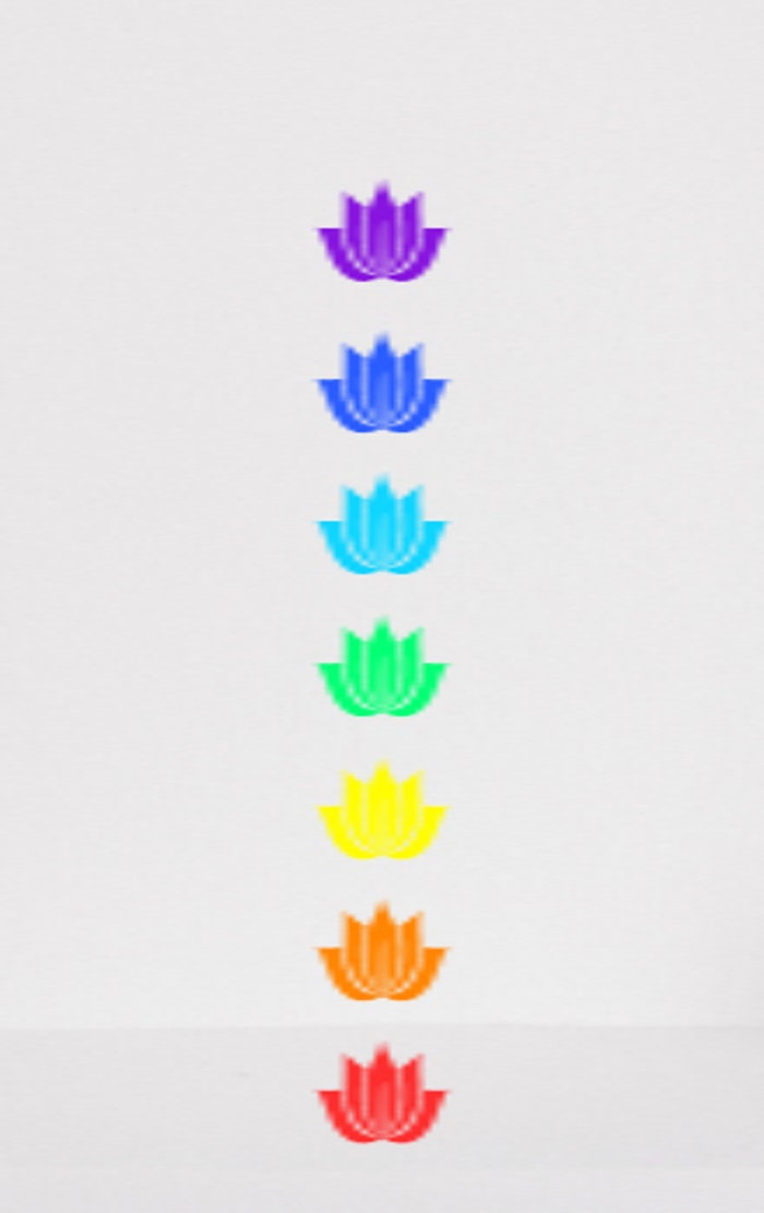 yoga lover Chakra Wall art | Chakra Wall Art  |  | Spiritual Poster | home Decor