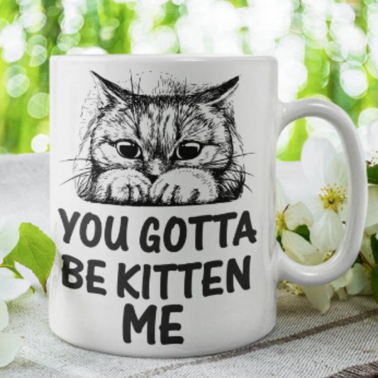 Williamsmugstore cat mug you gotta be kitten me  cat mug,ceramic 11oz coffee cat mug